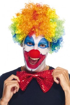 Perruque Du Clown Multicolore accessoire
