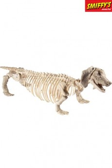 Squelette De Teckel accessoire
