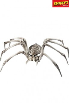 Squelette D’Araignée accessoire