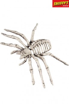 Petit Squelette D’Araignée accessoire