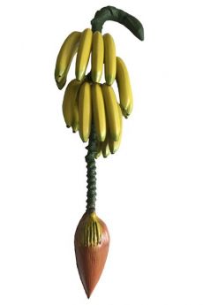 Régime 18 Bananes De Décoration 70 Cm accessoire