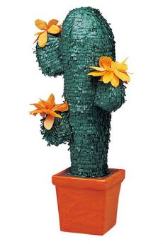Pinata Cactus accessoire