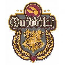 Décoration Murale Blason Quidditch Harry Potter accessoire