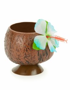 Coupe Hawaï noix de coco tropicale accessoire