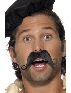Moustache à la francaise adulte accessoire