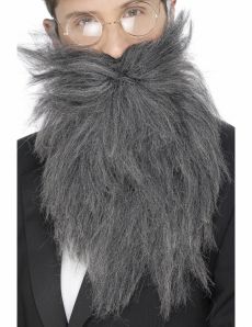 Barbe longue grise homme accessoire