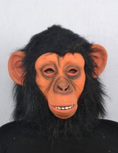 Masque de singe adulte accessoire