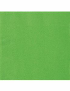 50 Serviettes en papier vert citron 33 x 33 cm accessoire