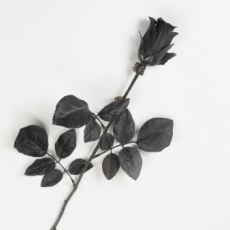 Rose noire accessoire