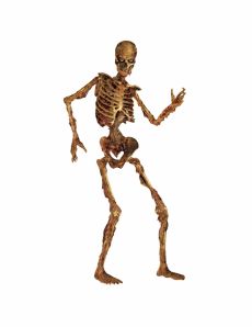 Décoration squelette articulé en décomposition 180 cm accessoire