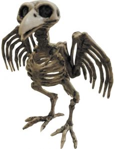 Squelette de corbeau Halloween accessoire