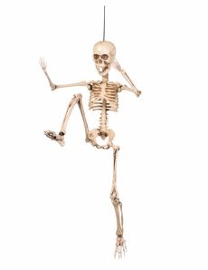 Décoration articulée squelette 50 cm Halloween accessoire