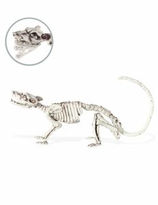 Décoration squelette rat 16 x 23 cm Halloween accessoire