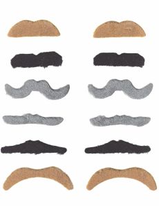 Lot de 12 moustaches adulte accessoire
