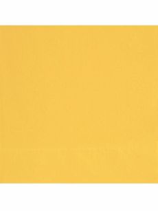 20 Petites serviettes en papier jaunes 25 x 25 cm accessoire