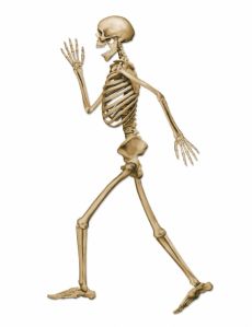 Décoration squelette marchant d'Halloween beige 94 cm accessoire