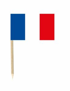 Lot de 50 drapeaux mini-piques France accessoire
