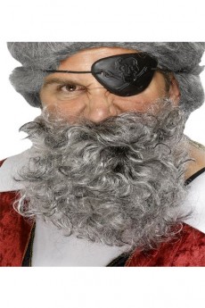 Barbe de Pirate Grise accessoire