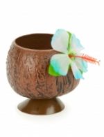 Coupe Hawaï noix de coco tropicale