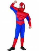 Déguisement super héros homme araignée garçon
