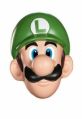 Masque Luigi Adulte