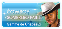 Chapeaux Cowboy sombrero Paille